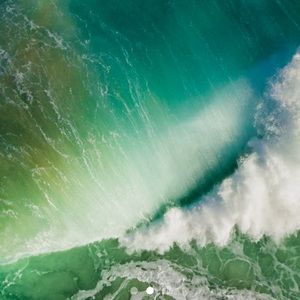 Meet your Posher, Raquel